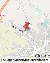 Viale Merano, 60,89022Cittanova