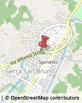 Comuni e Servizi Comunali Serra San Bruno,89822Vibo Valentia