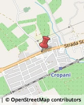 Articoli Sportivi - Dettaglio Cropani,88050Catanzaro