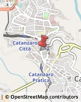 Pelletterie - Dettaglio Catanzaro,88100Catanzaro