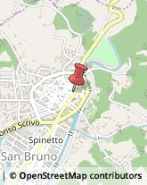 Piante e Fiori - Dettaglio Serra San Bruno,89822Vibo Valentia