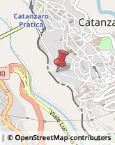 Palestre e Centri Fitness Catanzaro,88100Catanzaro