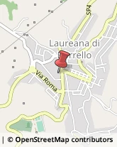 Aziende Sanitarie Locali (ASL) Laureana di Borrello,89023Reggio di Calabria