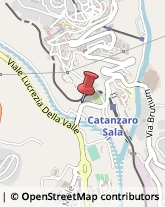 Frutta e Verdura - Dettaglio Catanzaro,88100Catanzaro