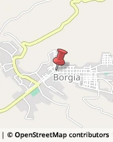 Articoli Sportivi - Dettaglio Borgia,88021Catanzaro