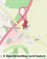 Autogru - Noleggio Gioia Tauro,89013Reggio di Calabria