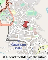 Articoli Carnevaleschi e per Feste Catanzaro,88100Catanzaro