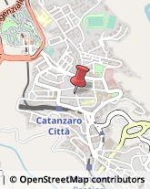 Agenzie di Animazione e Spettacolo Catanzaro,88100Catanzaro