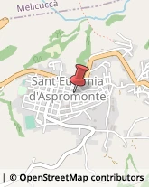 Articoli Sportivi - Dettaglio Sant'Eufemia d'Aspromonte,89027Reggio di Calabria