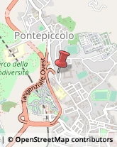 Articoli per Ortopedia,88100Catanzaro