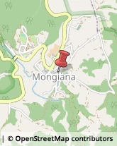 Regione e Servizi Regionali Mongiana,89823Vibo Valentia