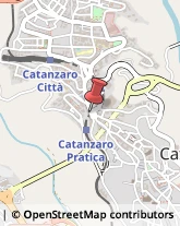 Cereali e Granaglie Catanzaro,88100Catanzaro