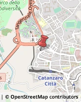 Assicurazioni Catanzaro,88100Catanzaro