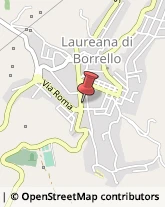 Gelaterie Laureana di Borrello,89023Reggio di Calabria