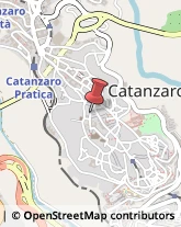 Camere di Commercio Catanzaro,88100Catanzaro