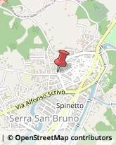 Associazioni Sindacali Serra San Bruno,89822Vibo Valentia