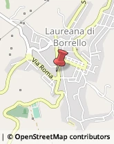 Ristoranti Laureana di Borrello,89023Reggio di Calabria