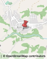 Avvocati Amaroni,88050Catanzaro