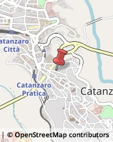 Alimenti Surgelati - Dettaglio Catanzaro,88100Catanzaro