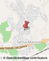 Pratiche Automobilistiche Sellia Marina,88050Catanzaro