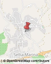 Gelati - Produzione e Commercio Sellia Marina,88050Catanzaro