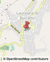 Scuole Pubbliche Laureana di Borrello,89023Reggio di Calabria