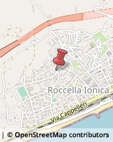 Piante e Fiori - Dettaglio Roccella Ionica,89047Reggio di Calabria