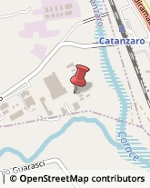 Consulenza di Direzione ed Organizzazione Aziendale Caraffa di Catanzaro,88050Catanzaro