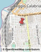 Piante e Fiori - Dettaglio Reggio di Calabria,89131Reggio di Calabria
