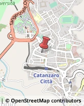 Consulenza Informatica Catanzaro,88100Catanzaro