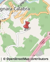 Revisione e Certificazione Bilanci Bagnara Calabra,89011Reggio di Calabria