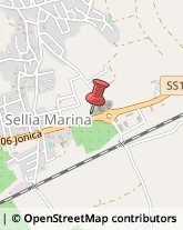 Registratori Di Cassa Sellia Marina,88050Catanzaro