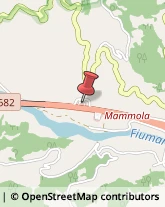 Stazioni di Servizio e Distribuzione Carburanti Mammola,89045Reggio di Calabria