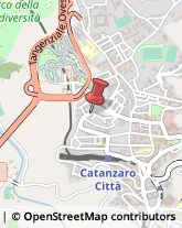 Psicologi Catanzaro,88100Catanzaro