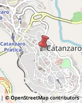 Articoli Sportivi - Dettaglio Catanzaro,88100Catanzaro
