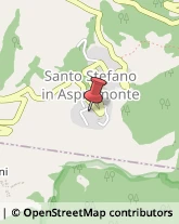 Piante e Fiori - Dettaglio Santo Stefano in Aspromonte,89057Reggio di Calabria