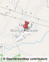 Piante e Fiori - Dettaglio Montagnareale,98060Messina