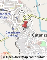 Consulenza Agricoltura e Foresta Catanzaro,88100Catanzaro