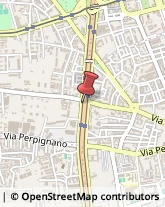 Nettezza Urbana - Servizio,90135Palermo