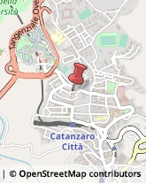 Consulenza Commerciale Catanzaro,88100Catanzaro