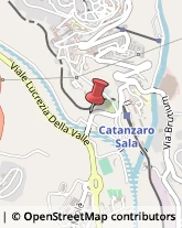 Autogru - Noleggio Catanzaro,88100Catanzaro