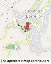 Ristoranti Laureana di Borrello,89023Reggio di Calabria