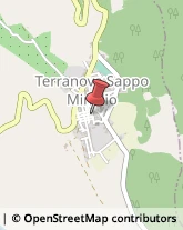 Piante e Fiori - Dettaglio Terranova Sappo Minulio,89014Reggio di Calabria