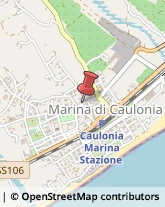 Autoradio Caulonia,89041Reggio di Calabria