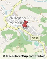 Via Roma, 57,43047Pellegrino Parmense