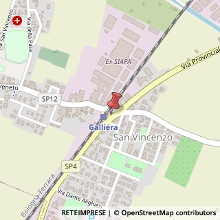 Mappa Via Provinciale, 2, 40015 Poggio Renatico, Ferrara (Emilia Romagna)