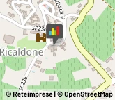 Comuni e Servizi Comunali Ricaldone,15010Alessandria