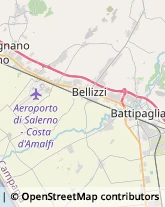 Agenzie di Animazione e Spettacolo Battipaglia,84091Salerno