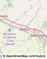 Trasportatori Meccanici Battipaglia,84091Salerno