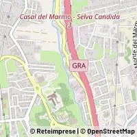 Map Roma